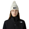 THE NORTH FACE - LOGO BOX POM BEANIE