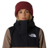 THE NORTH FACE - WHIMZY POWDER BEANIE