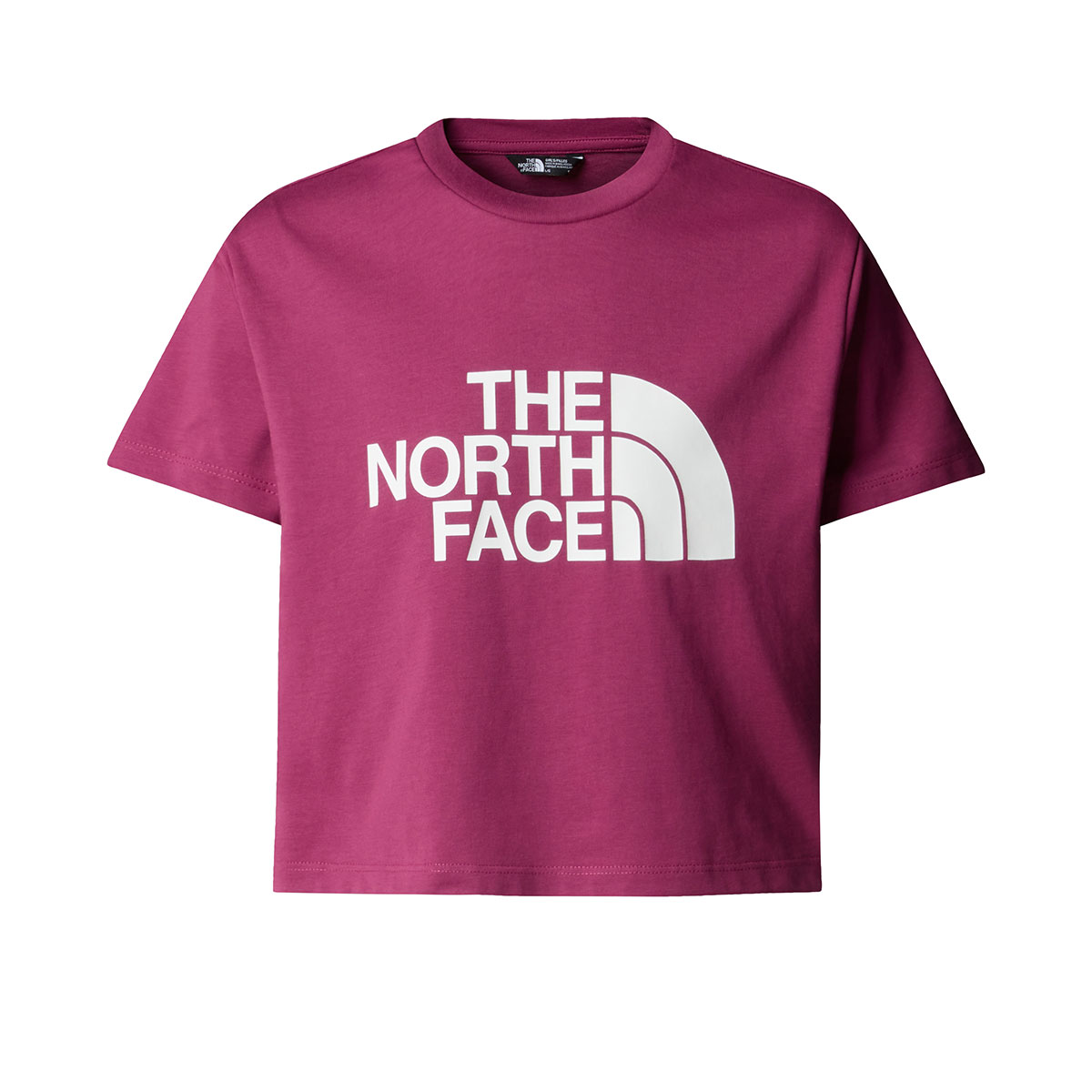THE NORTH FACE - CROP EASY TEE