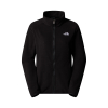 THE NORTH FACE - EVOLVE II TRICLIMATE 3-IN-1 JACKET