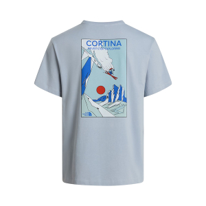 THE NORTH FACE - MOUNTAIN CELEBRATION REGULAR GRAPHIC T-SHIRT