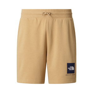 THE NORTH FACE - NSE BOX LIGHT REGULAR SHORTS