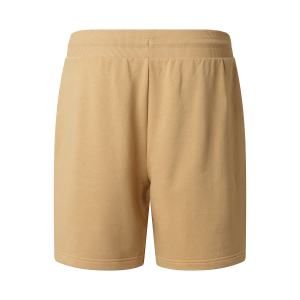 THE NORTH FACE - NSE BOX LIGHT REGULAR SHORTS