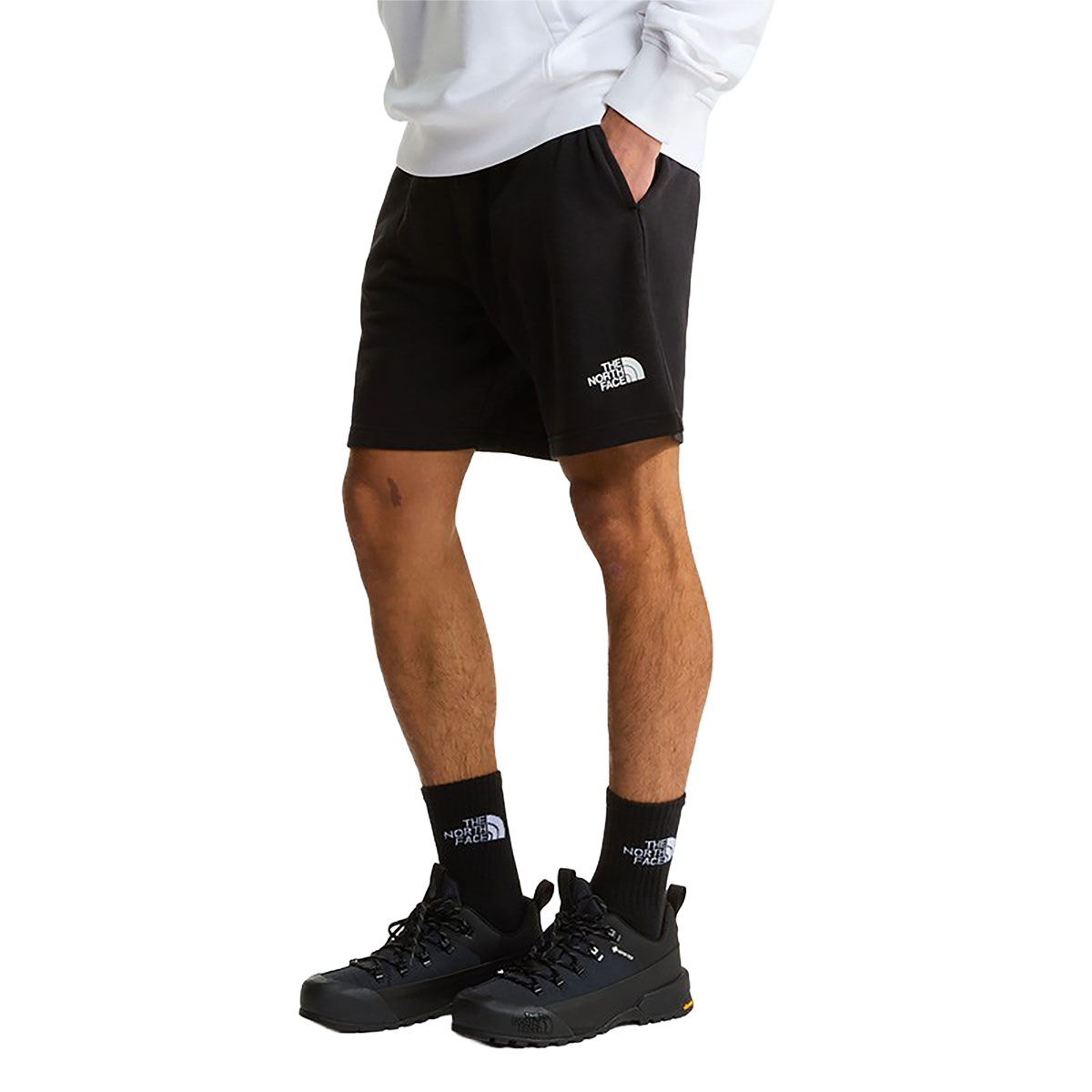 THE NORTH FACE - SIMPLE DOME LIGHT REGULAR SHORTS