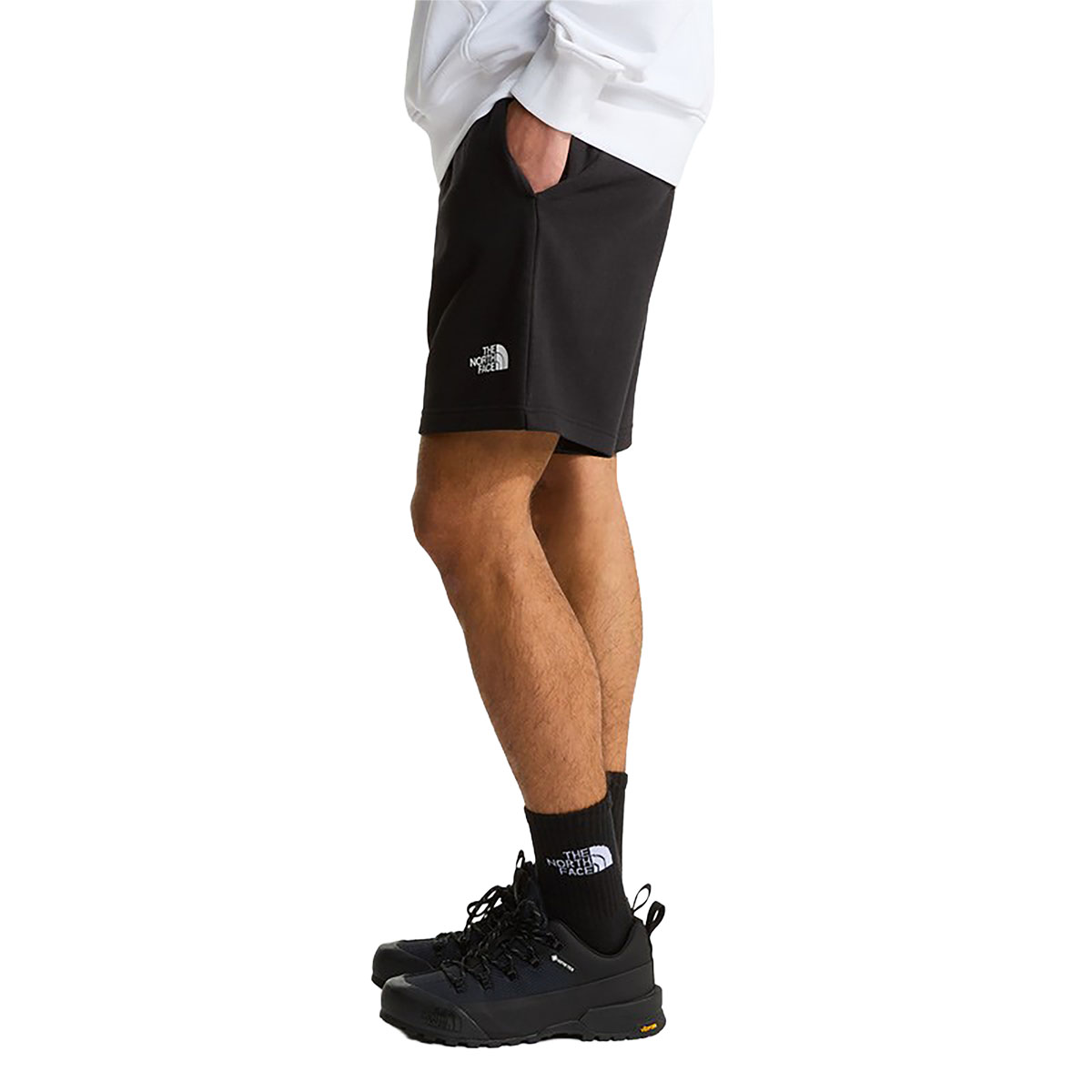 THE NORTH FACE - SIMPLE DOME LIGHT REGULAR SHORTS
