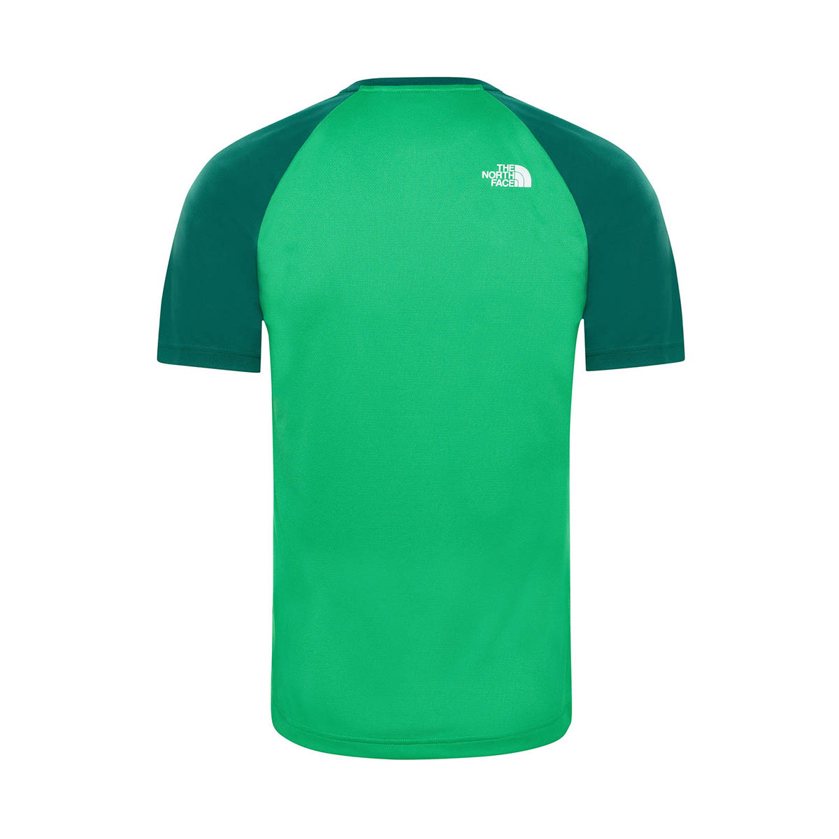THE NORTH FACE - TANKEN RAGLAN T-SHIRT