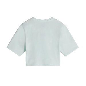 VANS - FLYING V CREW CROP
