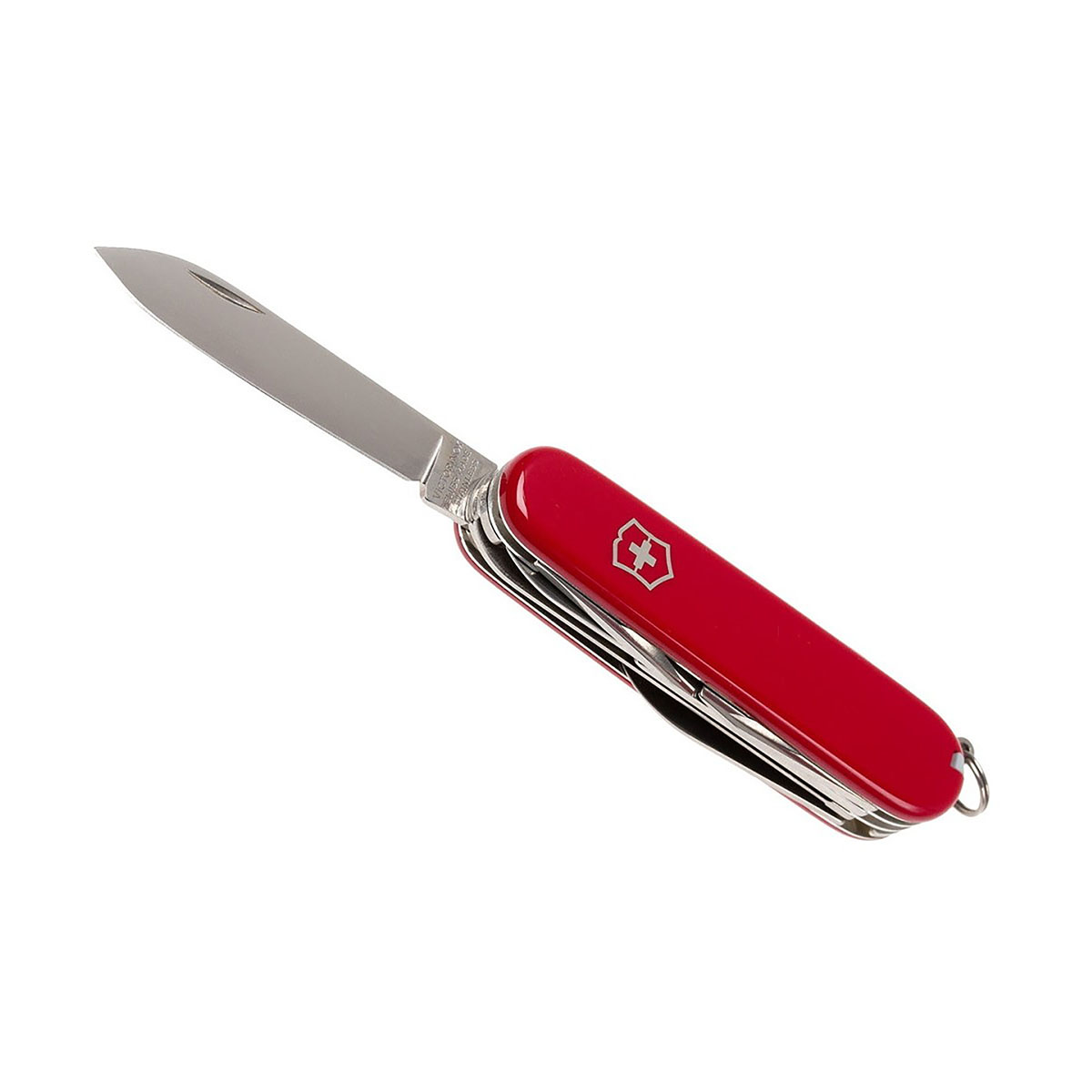 VICTORINOX - FIELDMASTER