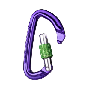 WILD COUNTRY - SESSION SCREW GATE LOCKING CARABINER