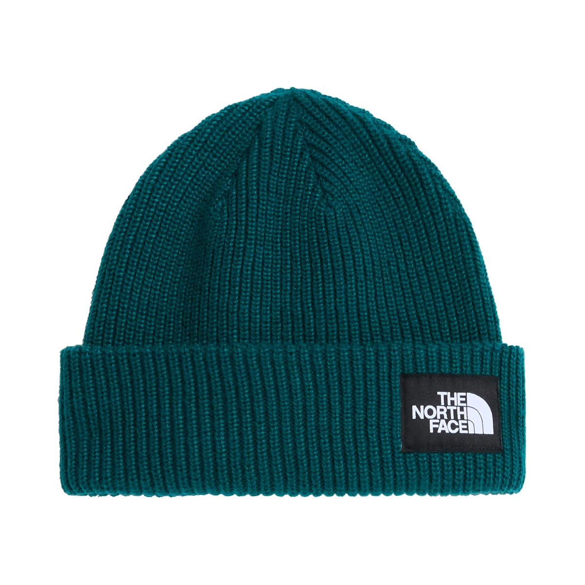 THE NORTH FACE - SALTY LINED BEANIE