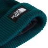 THE NORTH FACE - SALTY LINED BEANIE