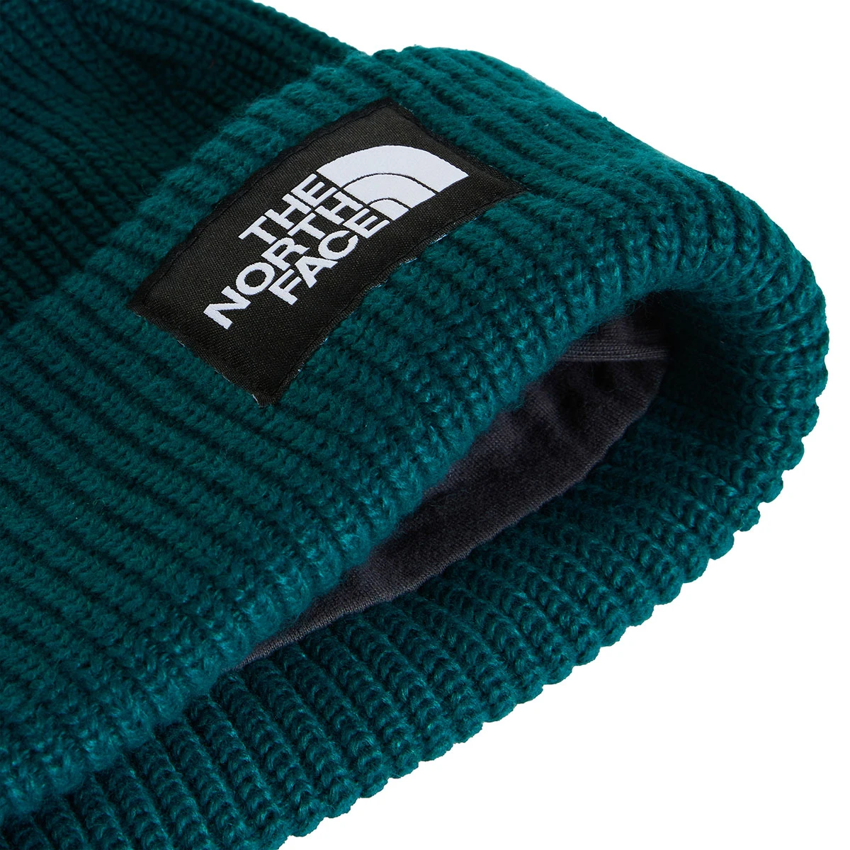 THE NORTH FACE - SALTY LINED BEANIE