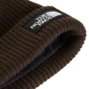 THE NORTH FACE - SALTY LINED BEANIE