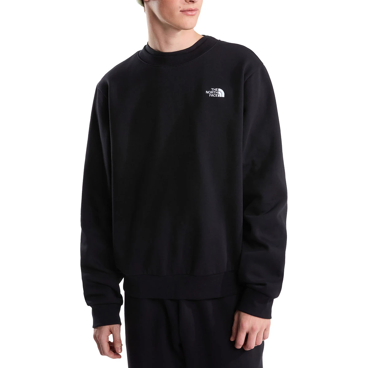 THE NORTH FACE - EVOLUTION SIMPLE DOME REGULAR SWEATSHIRT